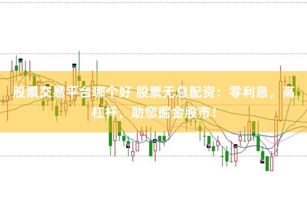 股票交易平台哪个好 股票无息配资：零利息，高杠杆，助您掘金股市！