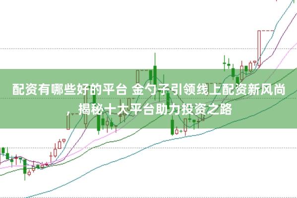 配资有哪些好的平台 金勺子引领线上配资新风尚，揭秘十大平台助力投资之路