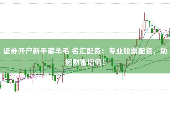 证券开户新手薅羊毛 名汇配资：专业股票配资，助您财富增值！