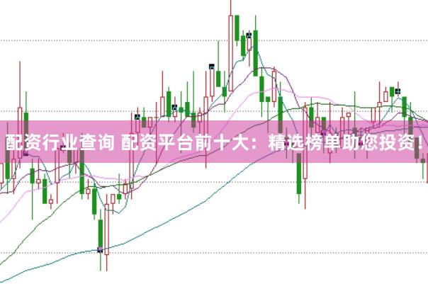 配资行业查询 配资平台前十大：精选榜单助您投资！