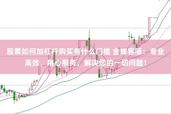 股票如何加杠杆购买有什么门槛 金蜂客服：专业高效，用心服务，解决您的一切问题！