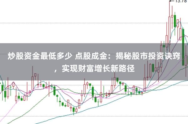 炒股资金最低多少 点股成金：揭秘股市投资诀窍，实现财富增长新路径