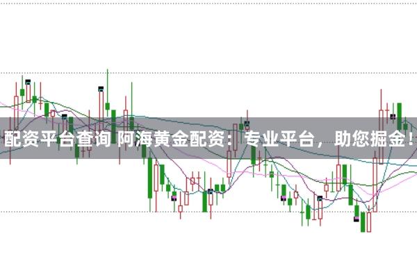 配资平台查询 阿海黄金配资：专业平台，助您掘金！