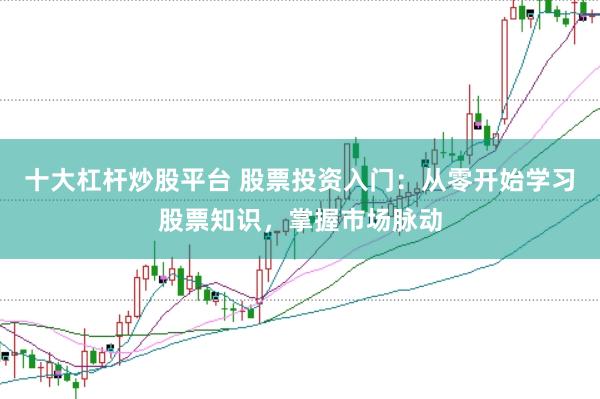 十大杠杆炒股平台 股票投资入门：从零开始学习股票知识，掌握市场脉动