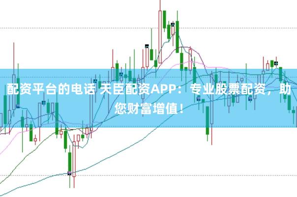 配资平台的电话 天臣配资APP：专业股票配资，助您财富增值！