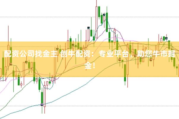 配资公司找金主 创牛配资：专业平台，助您牛市掘金！