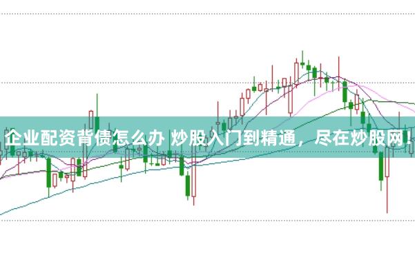 企业配资背债怎么办 炒股入门到精通，尽在炒股网！