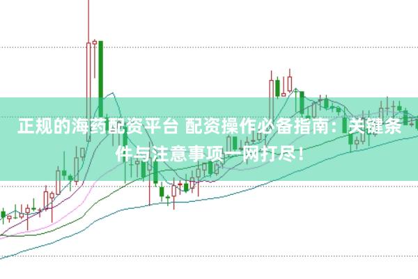 正规的海药配资平台 配资操作必备指南：关键条件与注意事项一网打尽！