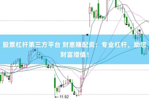 股票杠杆第三方平台 财恵赚配资：专业杠杆，助您财富增值！