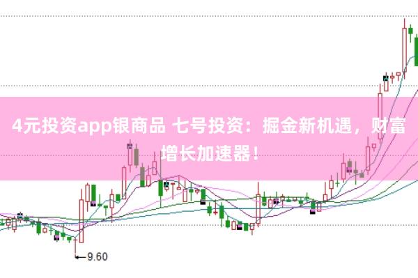 4元投资app银商品 七号投资：掘金新机遇，财富增长加速器！