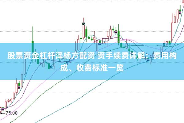股票资金杠杆泽杨方配资 资手续费详解：费用构成、收费标准一览