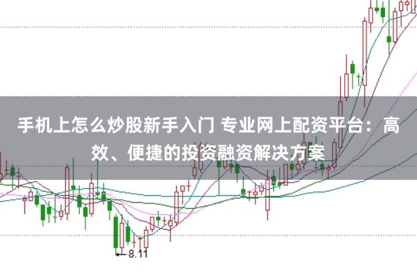 手机上怎么炒股新手入门 专业网上配资平台:高效、便捷的投资融资解决方案