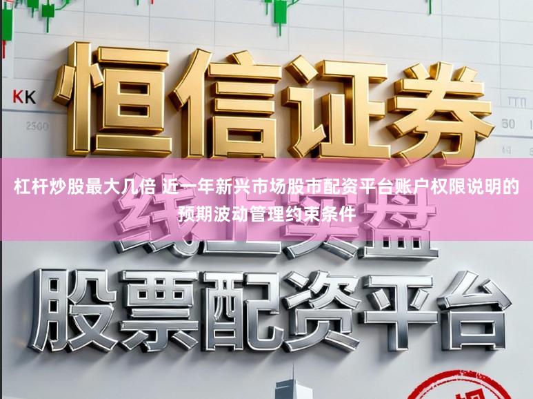 杠杆炒股最大几倍 近一年新兴市场股市配资平台账户权限说明的预期波动管理约束条件
