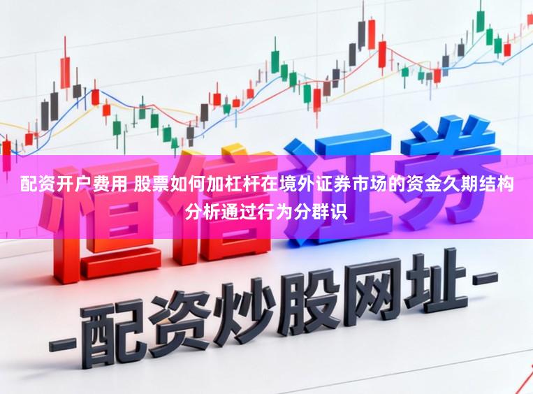 配资开户费用 股票如何加杠杆在境外证券市场的资金久期结构分析通过行为分群识
