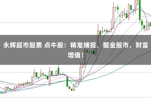 永辉超市股票 点牛股:精准捕捉,掘金股市,财富增值!